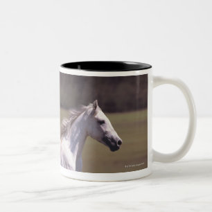 Weißes Pferd, das in Feld läuft Zweifarbige Tasse