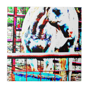 Weißes Pferd Fliese