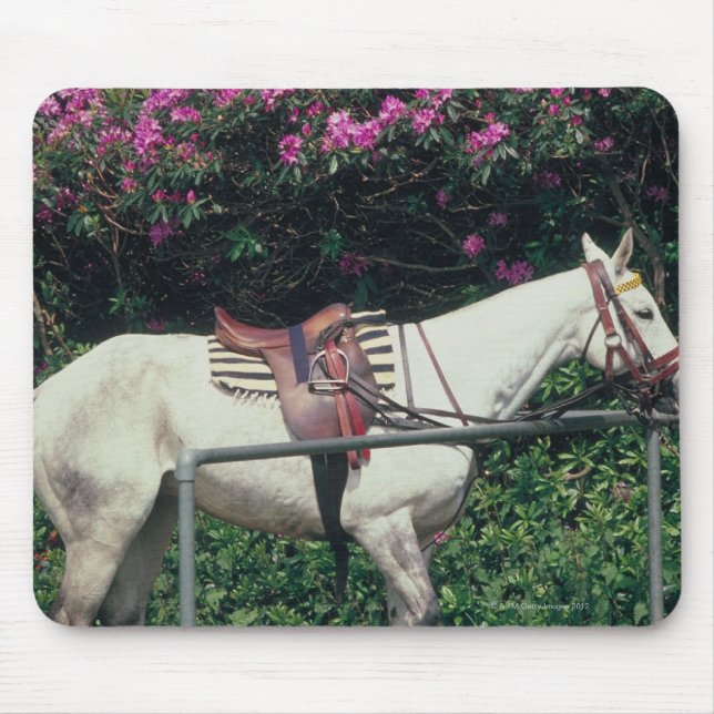 Weißes Pferd im Garten Mousepad (Vorne)