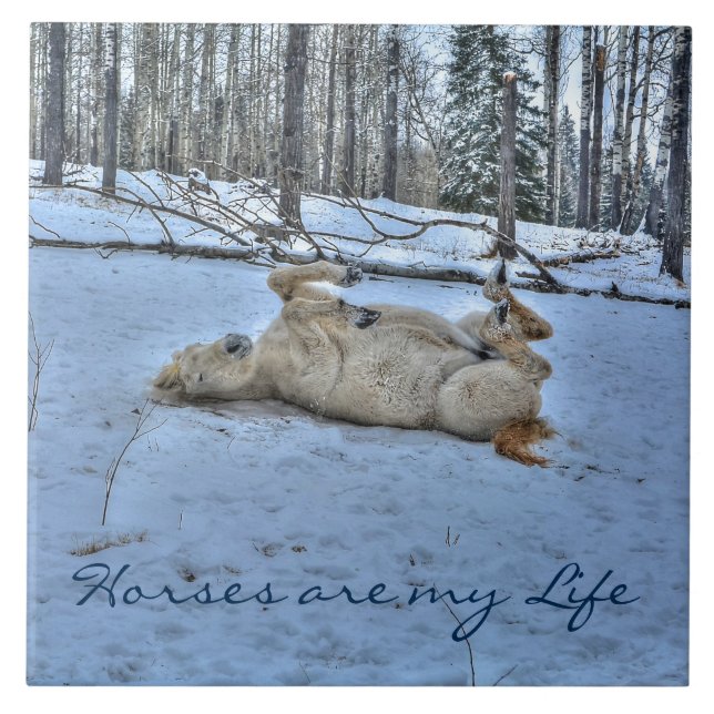 Weißes Pferd im Winterschnee Fliese (Vorderseite)