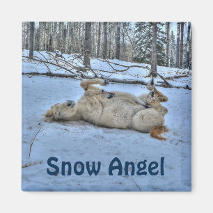 Weißes Pferd im Winterschnee Magnet