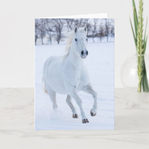 Weißes Pferd läuft im Schnee Karte
