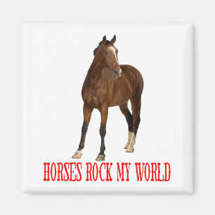 Weißes Pferd Liebhaber Western Reitsportfarm Pony Magnet