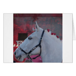 Weißes Pferd mit schwarzer Brille und roter Blume