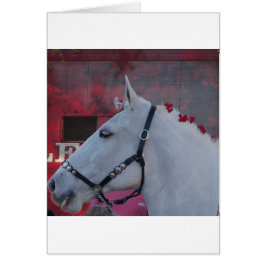 Weißes Pferd mit schwarzer Brille und roter Blume