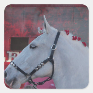Weißes Pferd mit schwarzer Brille und roter Blume Quadratischer Aufkleber