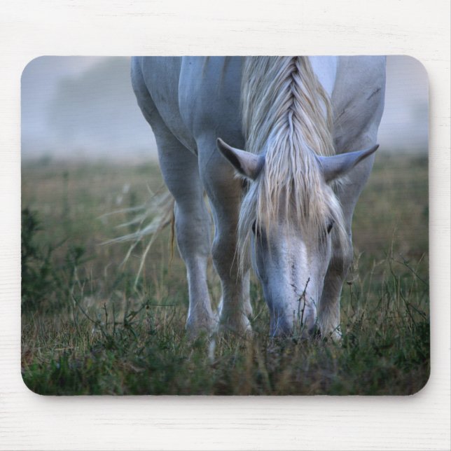 Weißes Pferd Mousepad (Vorne)