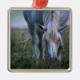 Weißes Pferd Ornament Aus Metall