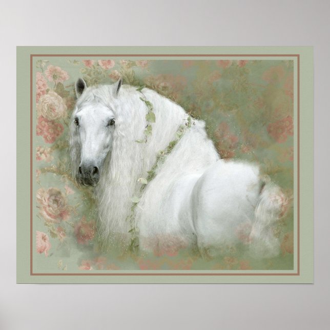 Weißes Pferd - Plakat (Vorne)