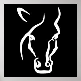 Weißes Pferd Poster