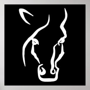 Weißes Pferd Poster