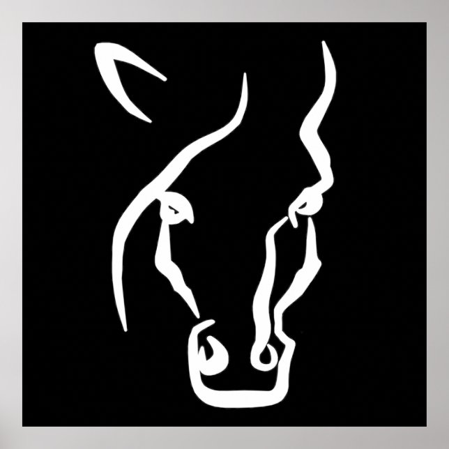 Weißes Pferd Poster (Vorne)