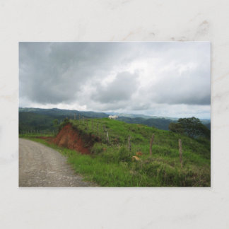 Weißes Pferd Postkarte