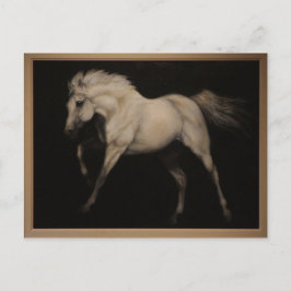 Weißes Pferd Postkarte