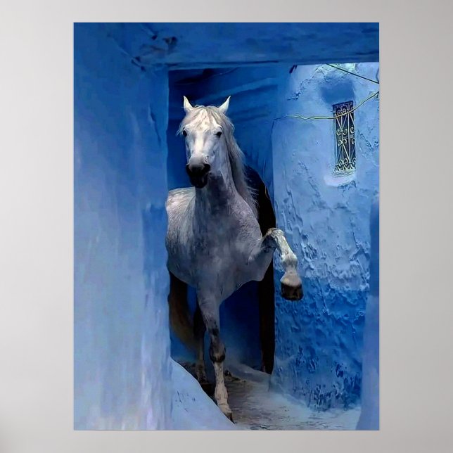 Weißes Pferd Reiseplakat Poster (Vorne)