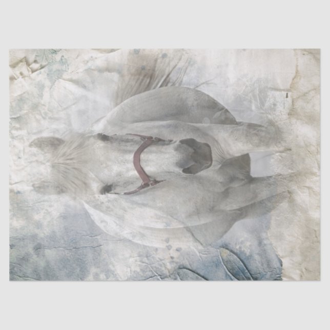 Weißes Pferd Seidenpapier (Vorderseite)