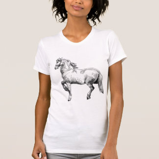 Weißes Pferd Tee