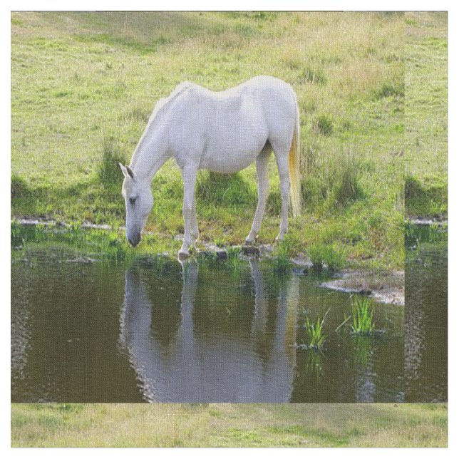 Weißes Pferdetrinkwasser-Gewebe Stoff (Nahaufnahme)