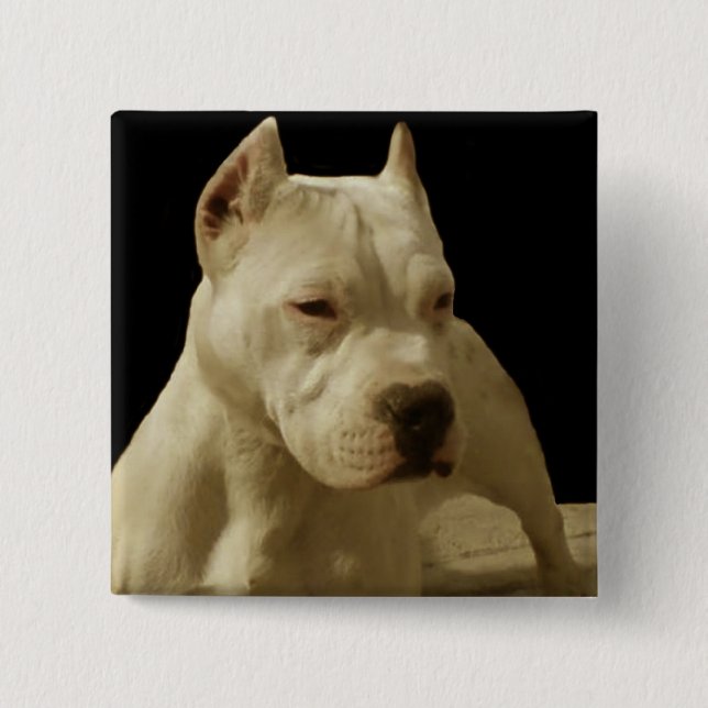 Weißes pitbull button (Vorderseite)