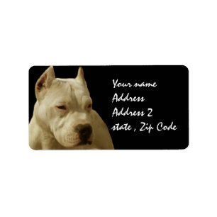 Weißes Pitbull Terrier Adressaufkleber