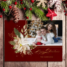 Weißes Poinsettia, Goldgrün Kalligrafisches Foto