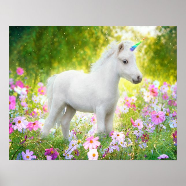 Weißes Pony Einhorn Poster (Vorne)