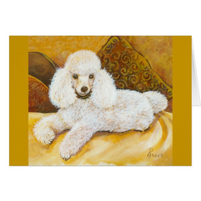 Weißes Poodle-Portrait (Vorderseite (Horizontal))