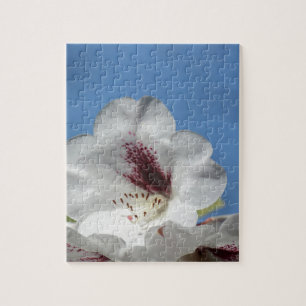 Weißes Rhododendron mit Burgund Puzzle