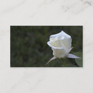 Weißes Rosengeschäft oder -Visitenkarte Visitenkarte