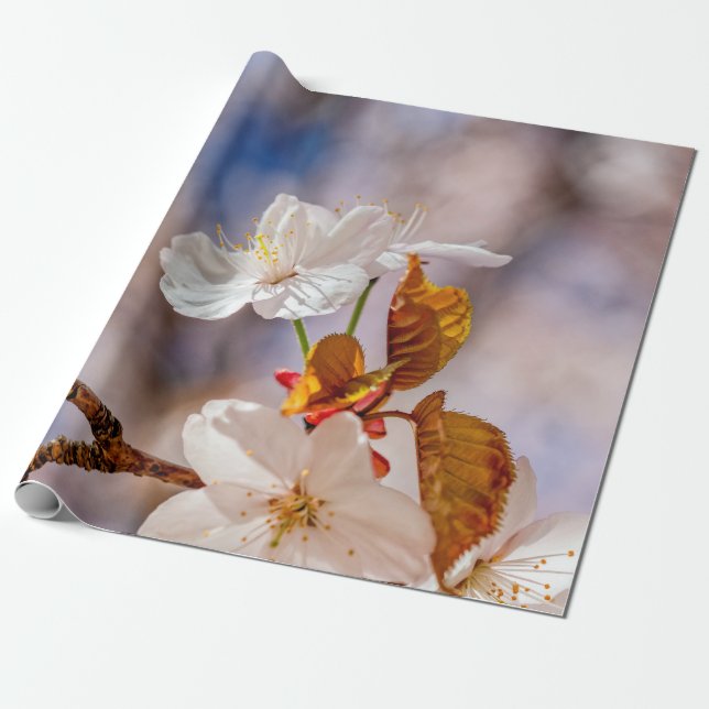 Weißes Sakura-Blume und Orangefarbene Blätter Geschenkpapier (Ungerollt)