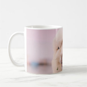 WEIßES SCHAF IN NAHAUFNAHME-FOTOGRAFIE KAFFEETASSE