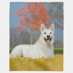 Weißes Schweizer Schäfer-HundeFoto _niedlicher Fleecedecke