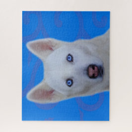 Weißes Sibirisches Husky-Jigsaw-Puzzle (Blue BG) Puzzle