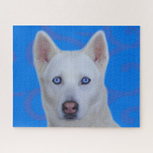 Weißes Sibirisches Husky-Jigsaw-Puzzle (Blue BG) Puzzle