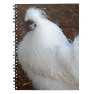 Weißes Silkie Huhn Notizblock