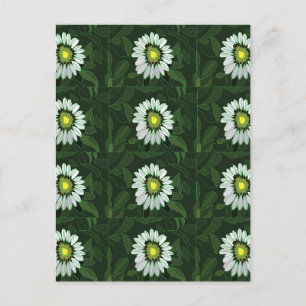 Weißes Sonnenhut-Blumenmuster Postkarte