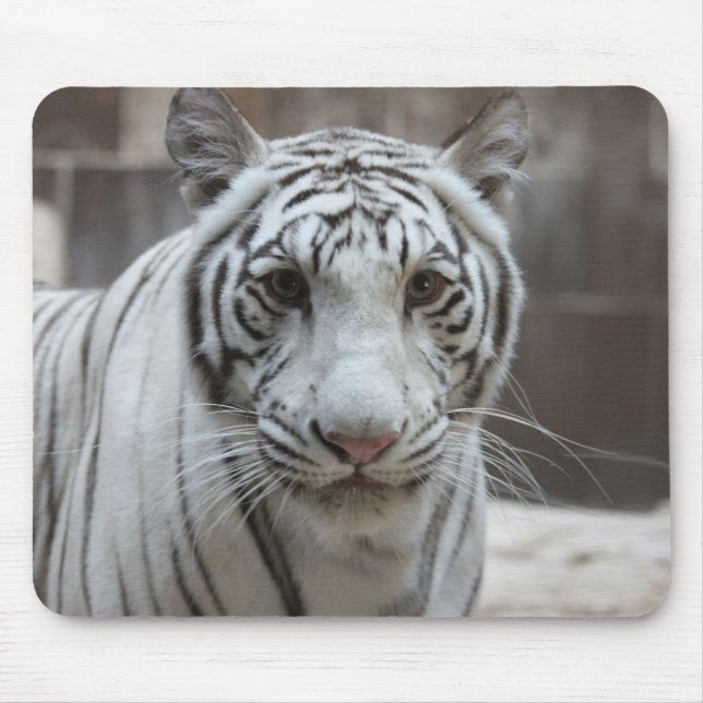 Weißes Tiger mousepad (Vorne)