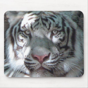 Weißes Tiger-Porträt Mousepad