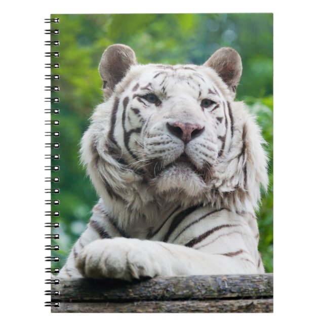 Weißes Tigernotizbuch Notizblock (Vorderseite)