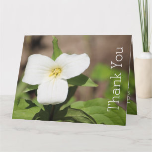 Weißes Trillium-Blumenfoto Karte