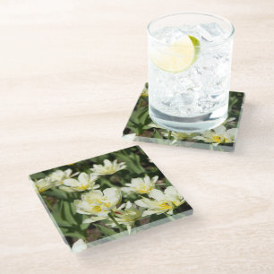 Weißes Tulpen-Foto Glasuntersetzer