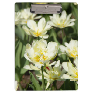 Weißes Tulpen-Foto Klemmbrett