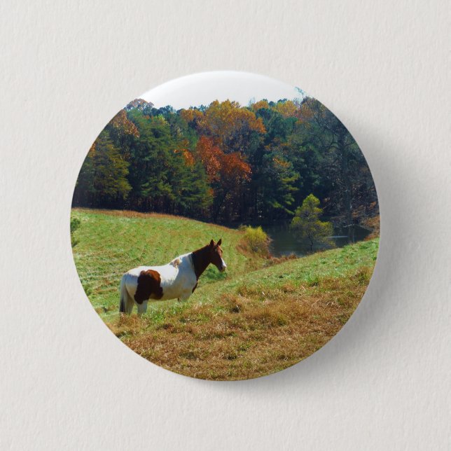 Weißes und braunes Pferd, Herbstteich Button (Vorderseite)