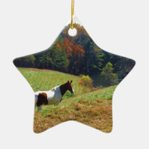 Weißes und braunes Pferd, Herbstteich Keramik Ornament
