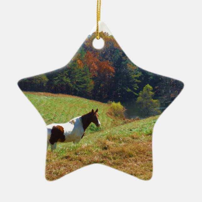 Weißes und braunes Pferd, Herbstteich Keramik Ornament (Vorne)