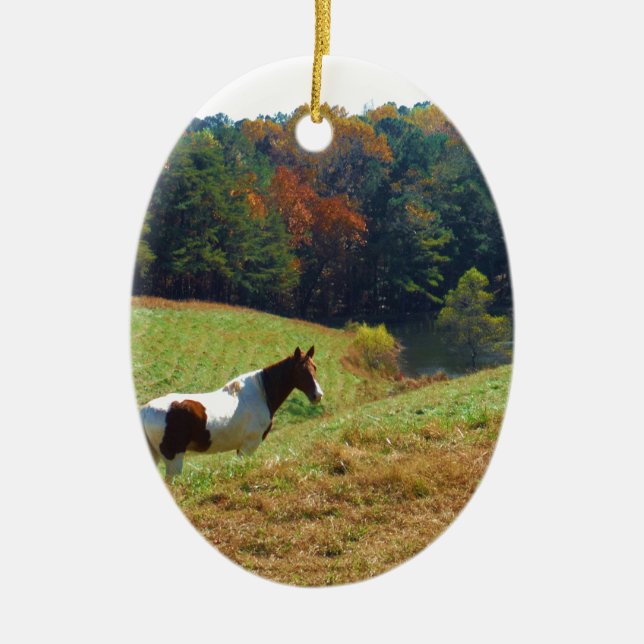 Weißes und braunes Pferd, Herbstteich Keramik Ornament (Vorne)