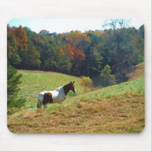 Weißes und braunes Pferd, Herbstteich Mousepad