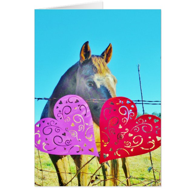 Weißes und braunes Pferd Valentine Hearts (Vorne)