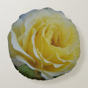 Weißes und gelbes Rosenwirbel Kissen