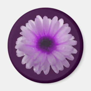 Weißes und Lila Marigold Magnet